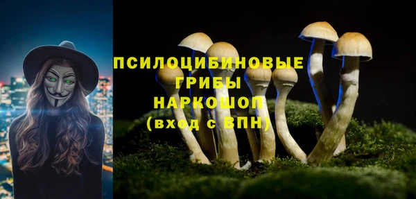 спиды Балахна