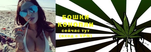 ПСИЛОЦИБИНОВЫЕ ГРИБЫ Балабаново