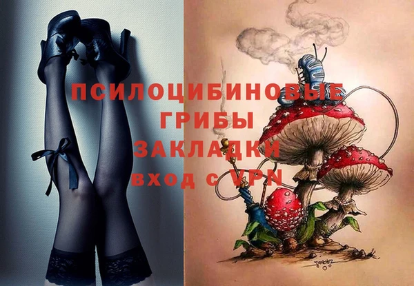 ПСИЛОЦИБИНОВЫЕ ГРИБЫ Балабаново