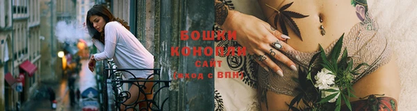 МДПВ Карпинск