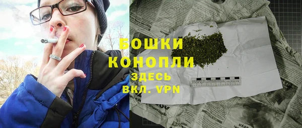 ПСИЛОЦИБИНОВЫЕ ГРИБЫ Балабаново